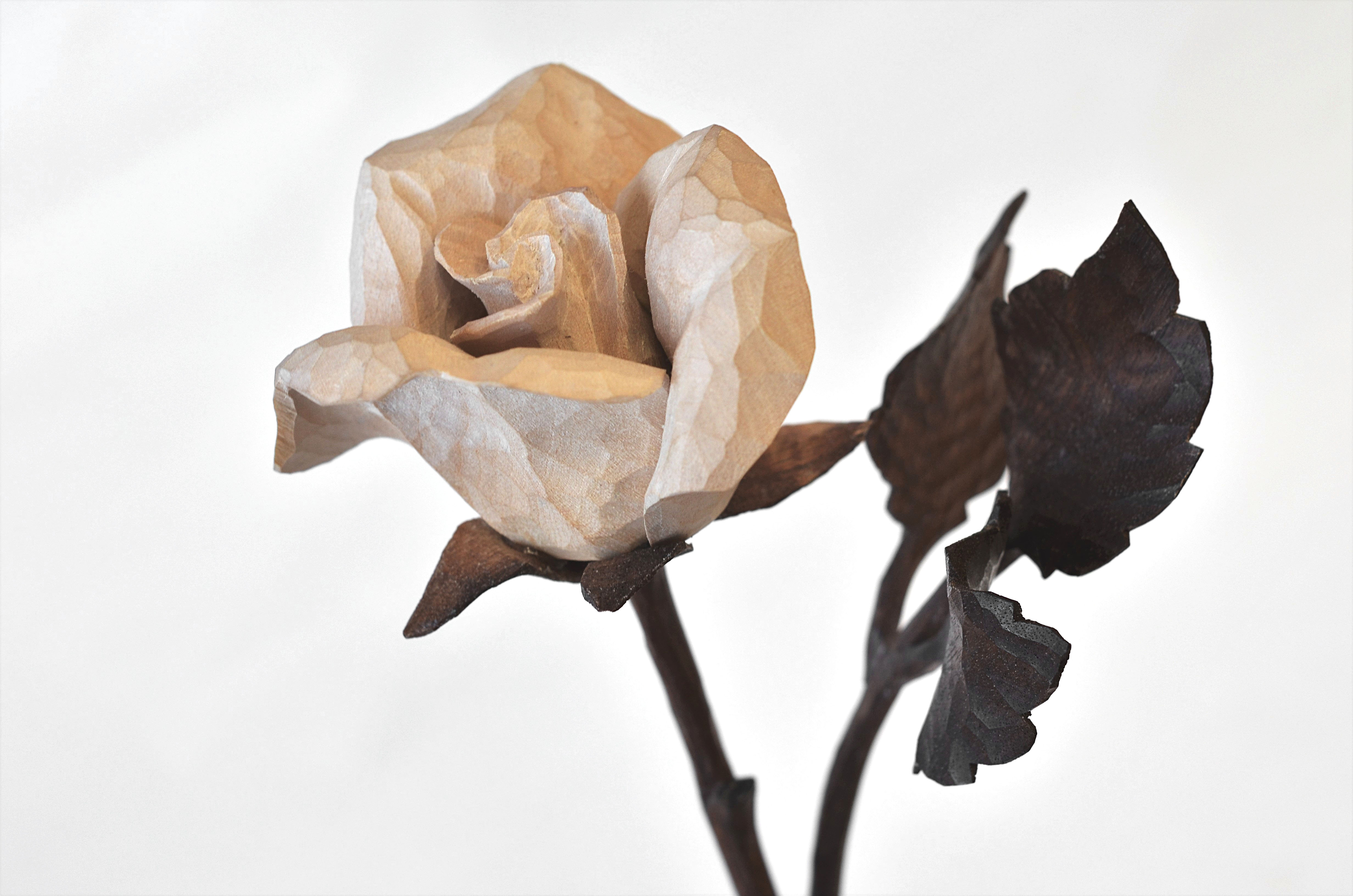 DSC_0510 DSC_0510